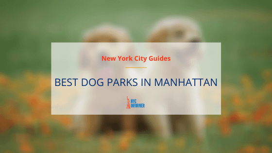 best dog parks in manhattan